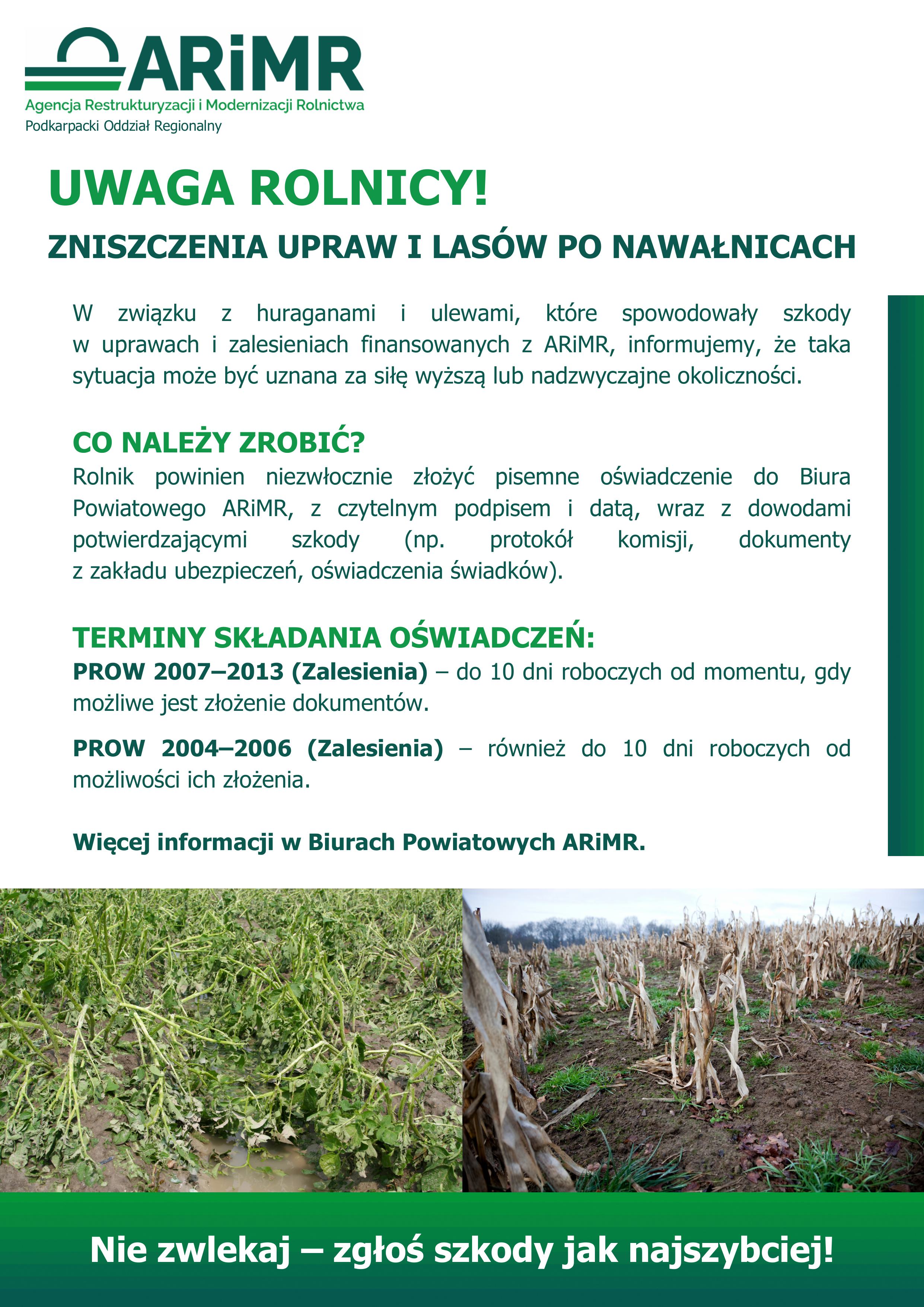 Plakat siła wyższa 2025 na strone