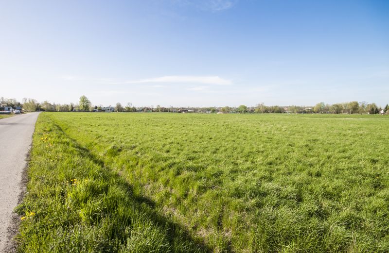 głuchów pastwiska 3