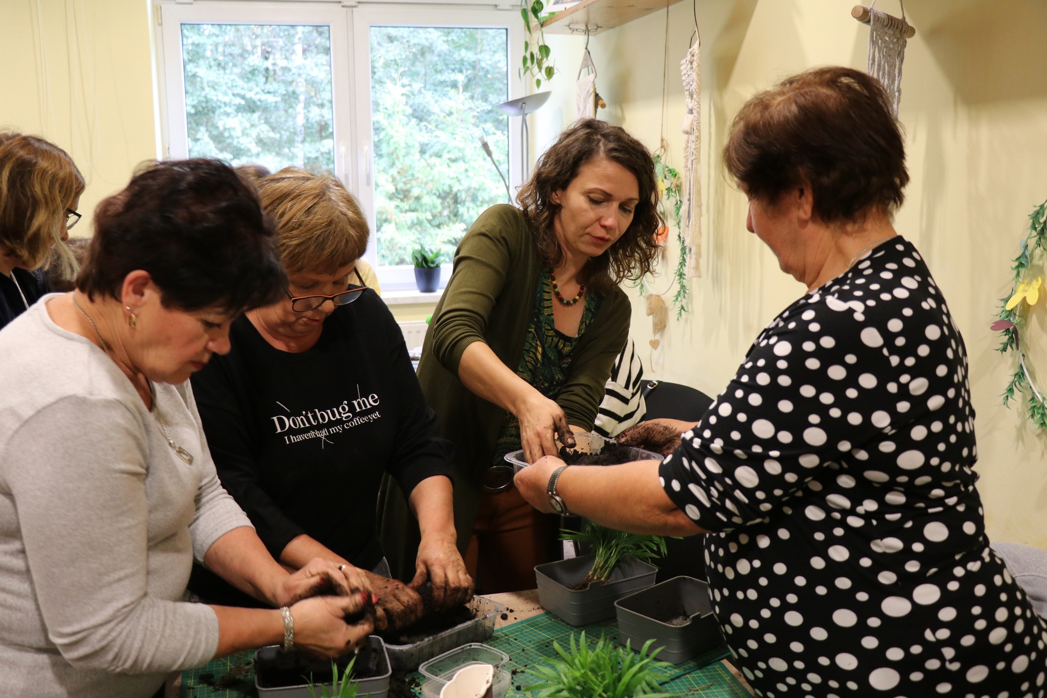 uniwersytet wiszące kule 1